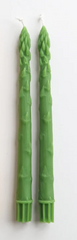 Asparagus Beeswax Tapers